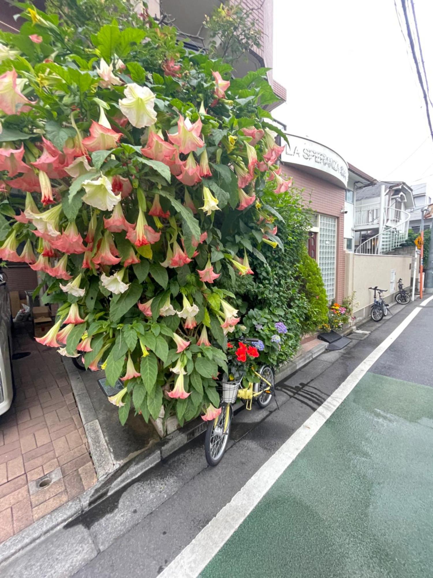 新宿庭院の屋-Shinjuku Garden Home -28 Square Meters King Size Bed Garden Room Tokyo Dış mekan fotoğraf