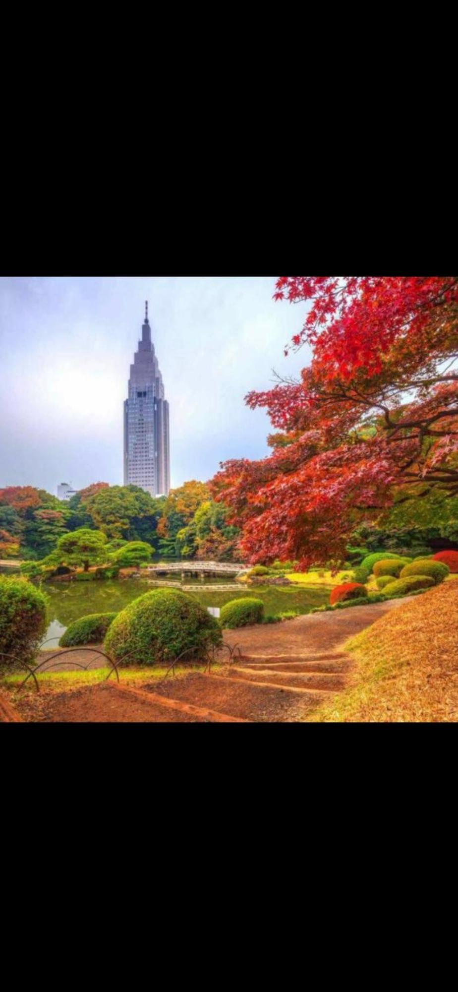 新宿庭院の屋-Shinjuku Garden Home -28 Square Meters King Size Bed Garden Room Tokyo Dış mekan fotoğraf