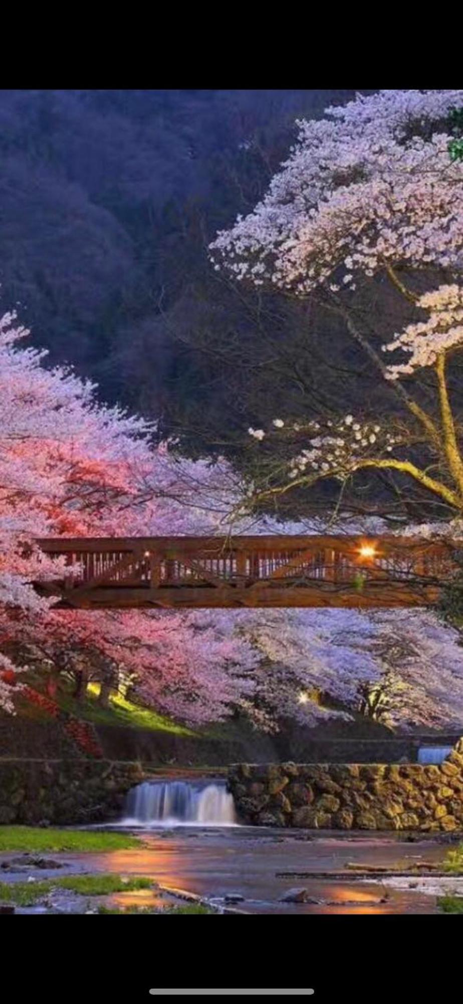 新宿庭院の屋-Shinjuku Garden Home -28 Square Meters King Size Bed Garden Room Tokyo Dış mekan fotoğraf