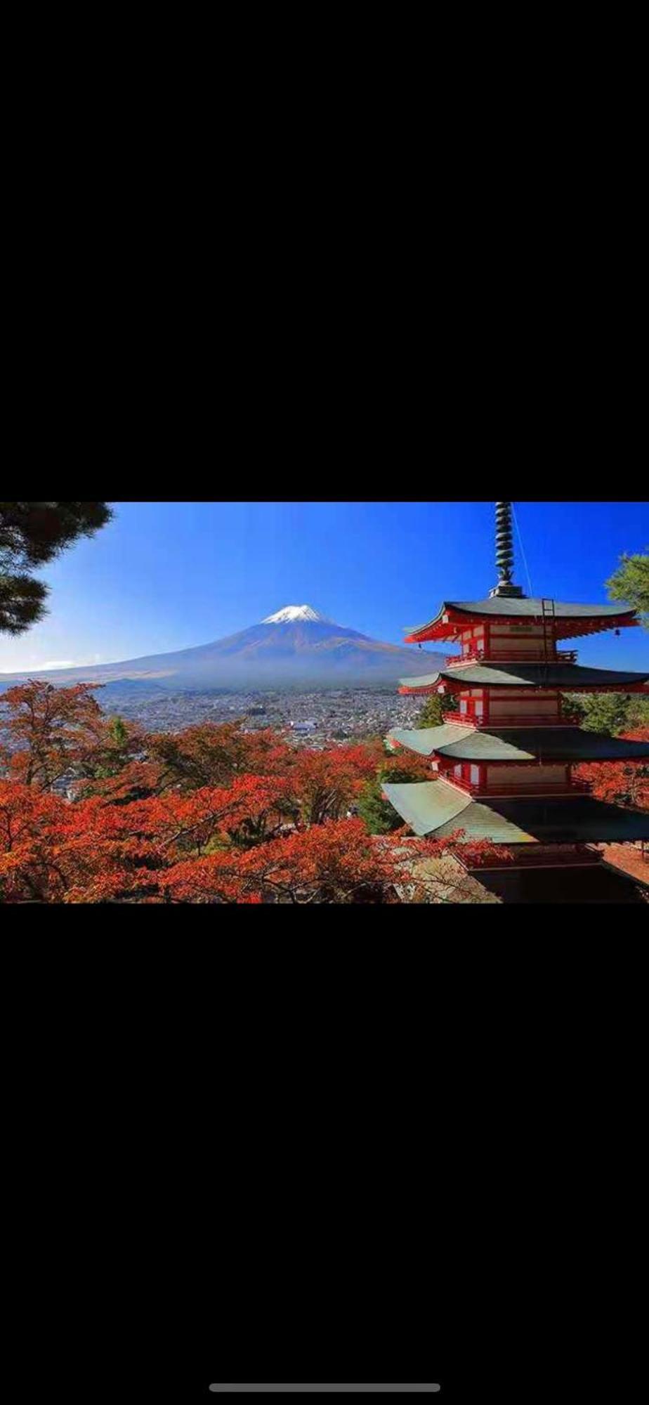 新宿庭院の屋-Shinjuku Garden Home -28 Square Meters King Size Bed Garden Room Tokyo Dış mekan fotoğraf